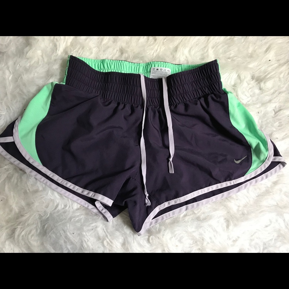 Dark Purple, Lavender, & Green Nike Running Shorts